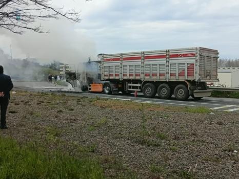 Ordu'da TIR yangını