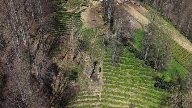 110 metrelik yolu olmadığı için evine 20 yıldır ilkel teleferikle gidiyor