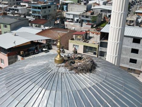 6 yıldır aynı yuvaya dönüyorlar