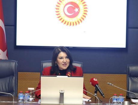 TBMM Finansal Okuryazarlığın Yaygınlaştırılması Alt Komisyonu toplandı (2)- Yeniden