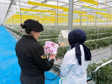 Kadına yönelik şiddetle mücadele çalışması