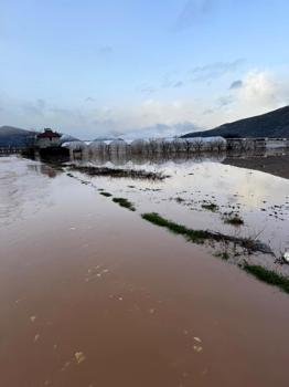 Antalya'da sağanak; dereler taştı, tarım alanlarını su altında kaldı