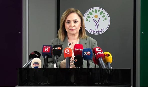 DEM Parti'li Doğan: Tartışmaları siyasal zemin üzerinden yürütmek daha doğru olur
