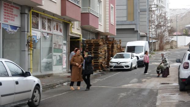 Van'da 5.2 büyüklüğünde deprem (2)