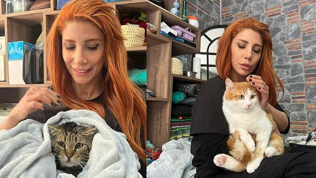 Engelli 3 kedi, veterinerde fizik tedaviyle yürümeye başladı