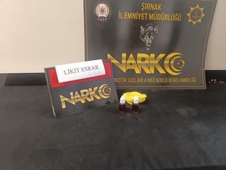 Şırnak’ta kargo paketinde ele geçirilen uyuşturucuya 1 gözaltı