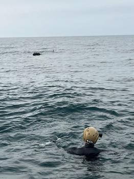 MSB: İğneada açıklarında tespit edilen mayın imha edildi