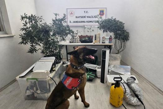 Kayseri’de uyuşturucu operasyonu: 1 gözaltı