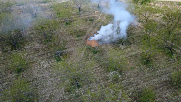 Manisa’da üreticilerden ‘zirai don' nöbeti; badem ağaçlarına dumanlı koruma