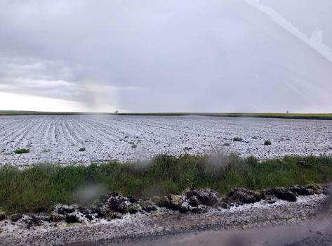 Saray'da dolu etkili oldu