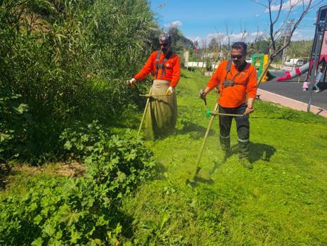 Çukurova Belediyesi’nden park ve yeşil alanlarda yoğun mesai