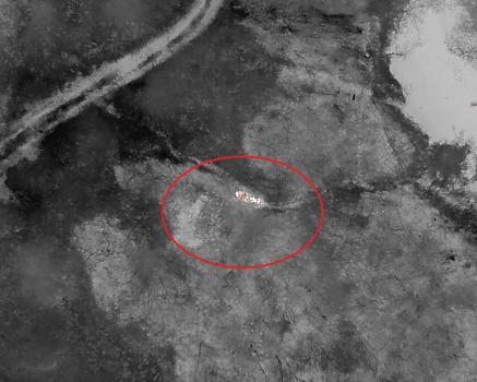 Kaybolan gebe inek, doğum yapmış halde AFAD ekiplerince bulundu