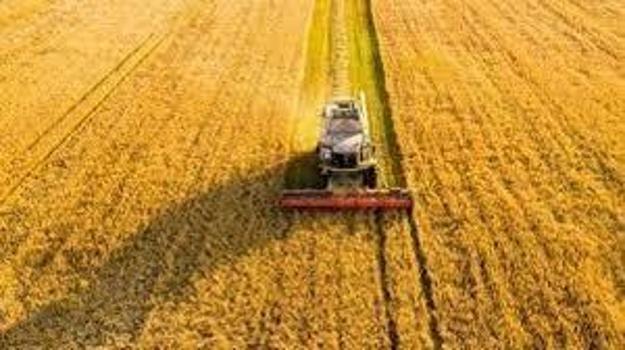 TÜİK: Tarım üretici fiyatları martta arttı