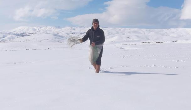 Karla kaplı tarlaya yonca ekti