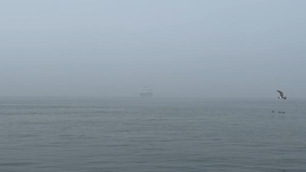 İstanbul'da sis etkili oluyor; gemi trafiği askıya alındı
