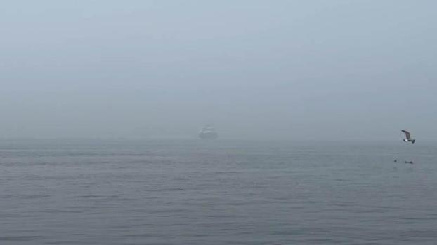 İstanbul'da sis etkili oluyor; gemi trafiği askıya alındı