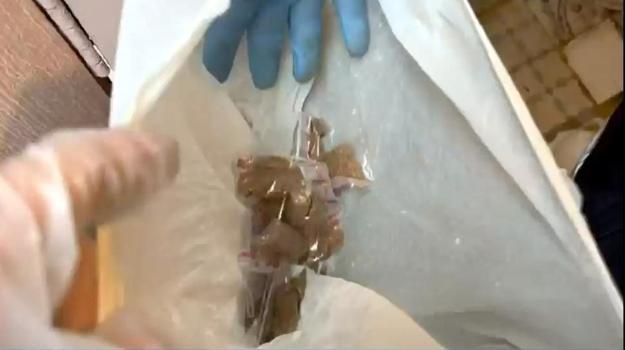 Avcılar'da düzenlenen operasyonlarda 172 kilogram uyuşturucu madde ele geçirildi