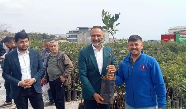 5 bin keçiboynuzu fidanı üreticilerle buluşturuldu