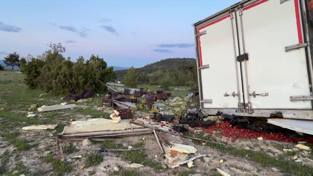 Freni boşalan sebze yüklü TIR ağaca çarparak durabildi