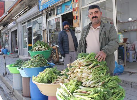 Dağlarda yetişen pancarın ilk mahsulü, satışa sunuldu