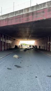 Hatay'da otomobilin çarptığı sürüdeki 17 koyun öldü