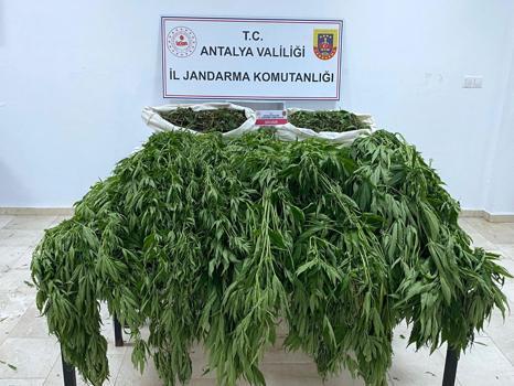 Serik’te uyuşturucu operasyonu: 1 tutuklu