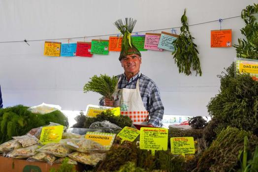 15. Uluslararası Alaçatı Ot Festivali'nde stantlar açıldı