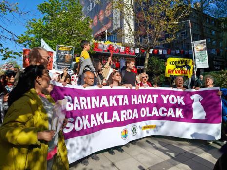 Ankara'da hayvanseverlerden yürüyüş