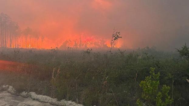 ABD'de orman yangınlarında 120'den fazla ev yandı