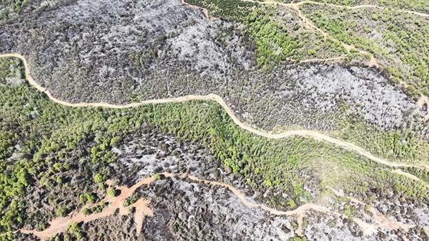 Beykoz'da orman yangını; zarar gören alan havadan görüntülendi
