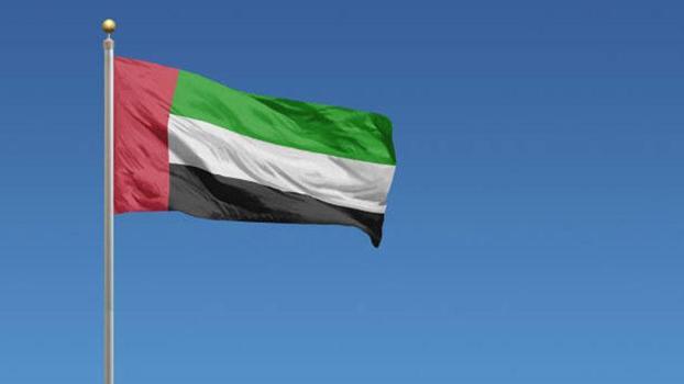 BAE'den OPEC kararı