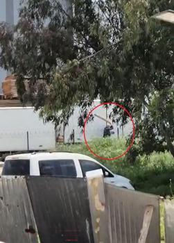 Tavuklarını yediği gerekçesiyle sokak köpeğini sopayla döven kişi gözaltında