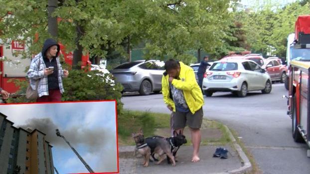Ataşehir’de 8 katlı binanın en üst katında yangın; engelli köpek içerde mahsur kaldı