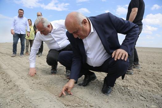 Erkoyuncu, pancar ekimine katıldı