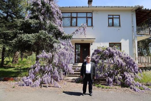 Filozof Teoman Duralı Müzesi projesi için inceleme yapıldı