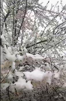 Sivas’ta yüksek kesimlere kar yağdı