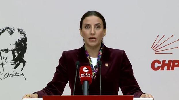 CHP'li Rızvanoğlu: Bu ülkenin ormanları sahipsiz değil