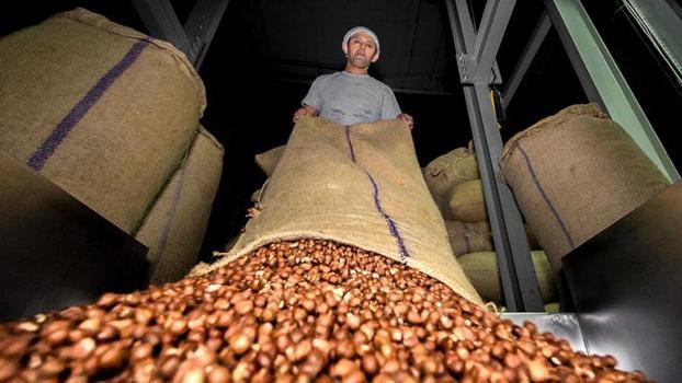 Doğu Karadeniz'den ilk 4 ayda 678 milyon dolarlık ihracat