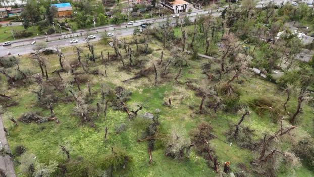 Şanlıurfa'da fırtınanın izleri siliniyor / Ek fotoğraflar