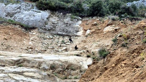 Dağlık alanda mahsur kalan 2 çocuk kurtarıldı