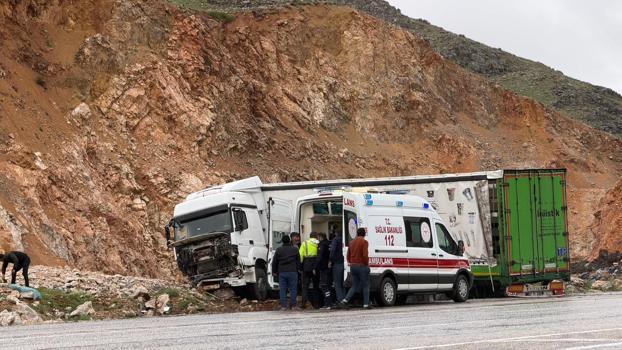 Malatya’da yoldan çıkan TIR'ın sürücüsü yaralandı