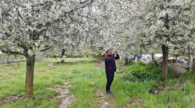 Zirai don ve doğal afetlere karşı saha kontrolü