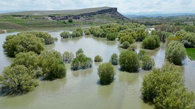 Melendiz Çayı taştı, mesire alanındaki ağaçlar su içinde kaldı
