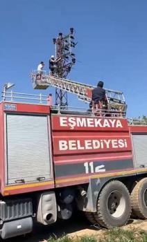 Tamir etmek için çıktığı elektrik direğinde akıma kapılıp mahsur kaldı