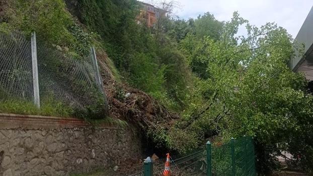 Terminal bölgesinde heyelan; yıkılan ağaç, peronlara devrildi