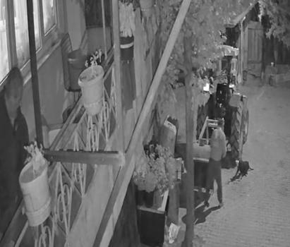 Köpeği demir sopayla öldürdü; o anlar kamerada