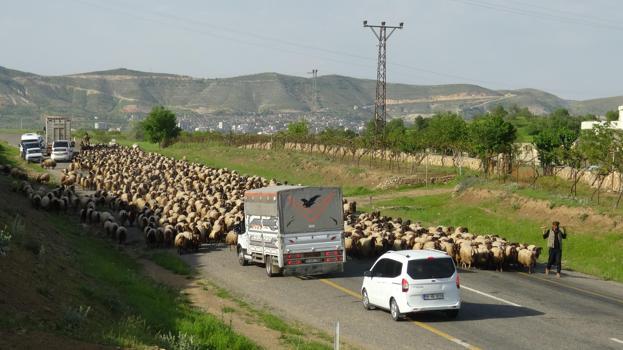 Gercüş’te, göçer ailelerin yayla yolculuğu başladı