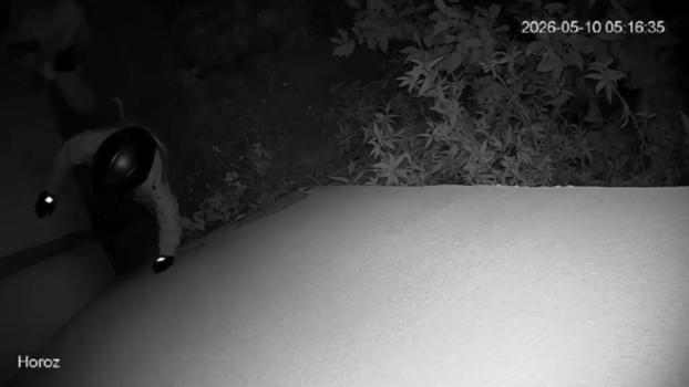 Hatay'da otomobil hırsızılığı kamerada; 1 tutuklama