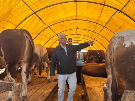 'Kurbanlık alırken küpe ve sağlık raporu mutlaka kontrol edilmeli'