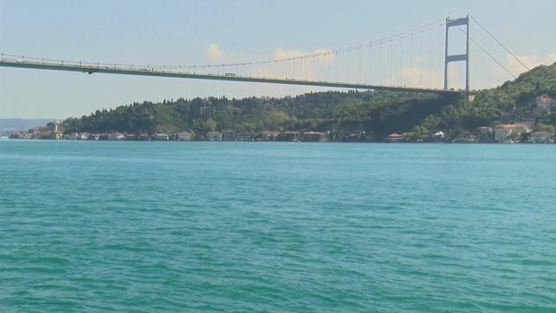 İstanbul Boğazı'nda yunus sürprizi